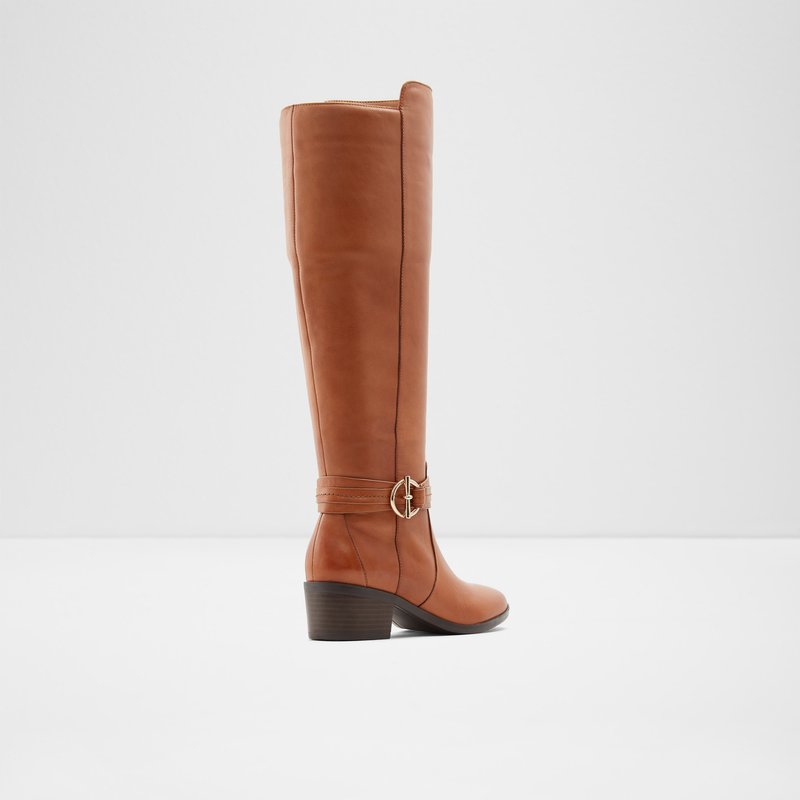 Botas Altas Aldo Amby Mujer Marrom | NOJ286930