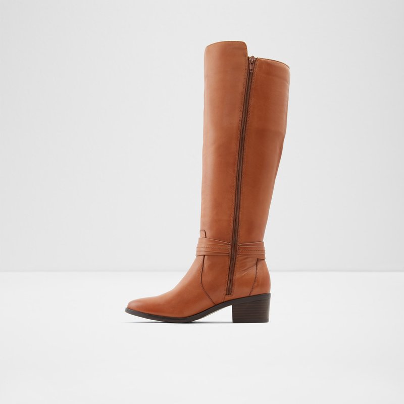 Botas Altas Aldo Amby Mujer Marrom | NOJ286930