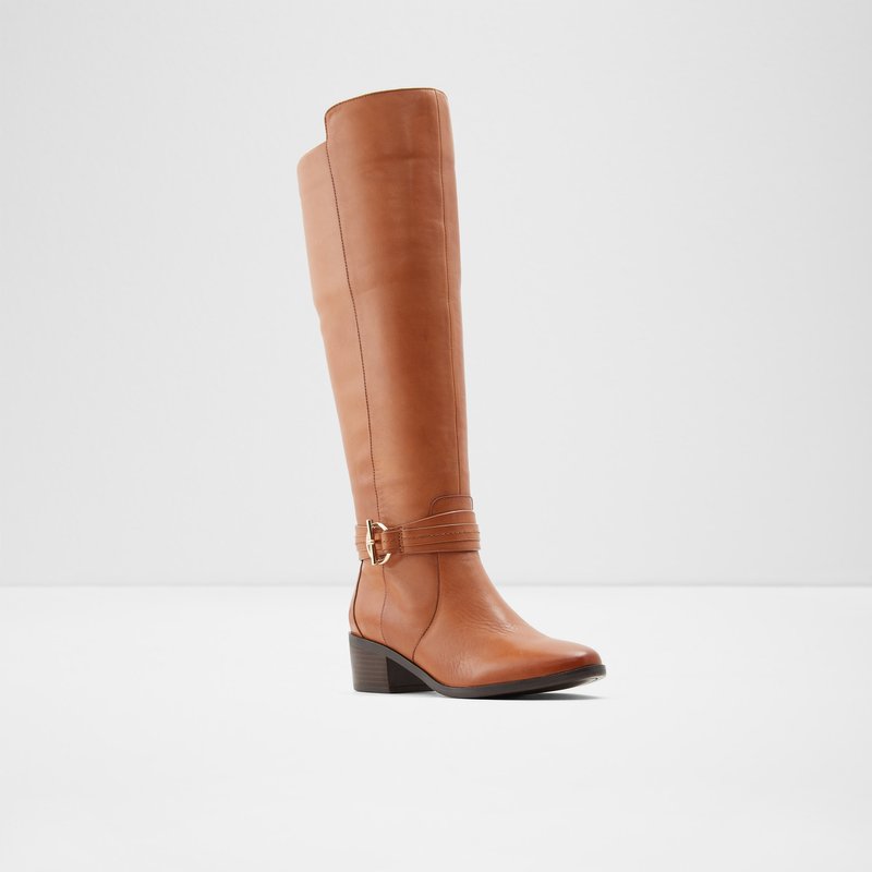 Botas Altas Aldo Amby Mujer Marrom | NOJ286930