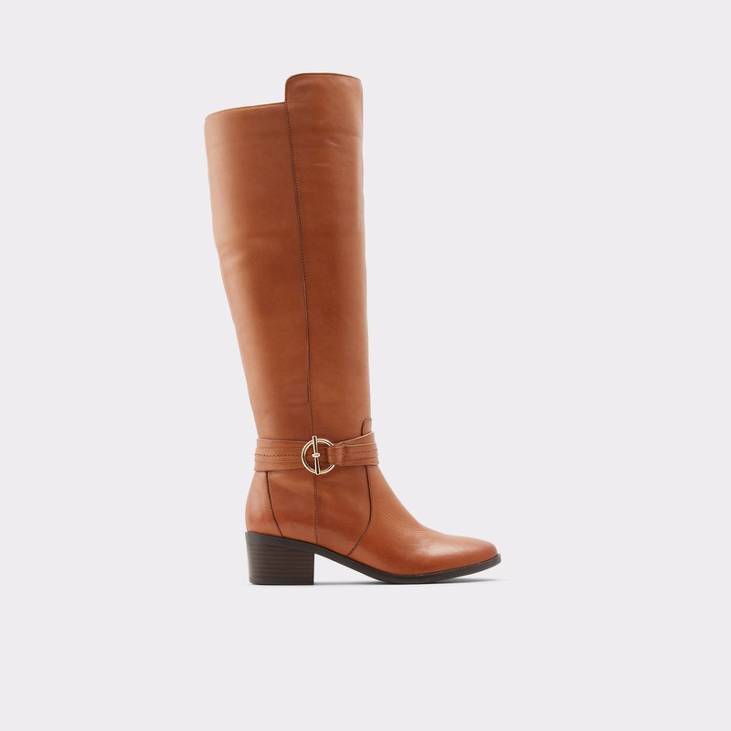 Botas Altas Aldo Amby Mujer Marrom | NOJ286930