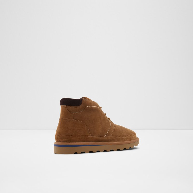 Botas de Invierno Aldo Eowerrap Hombre Marrom | KZH958263