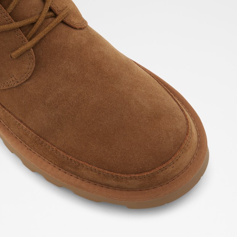 Botas de Invierno Aldo Eowerrap Hombre Marrom | KZH958263