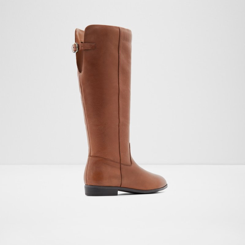 Knee High Boots Aldo Keesha-wwc Mujer Marrom | YRG053671