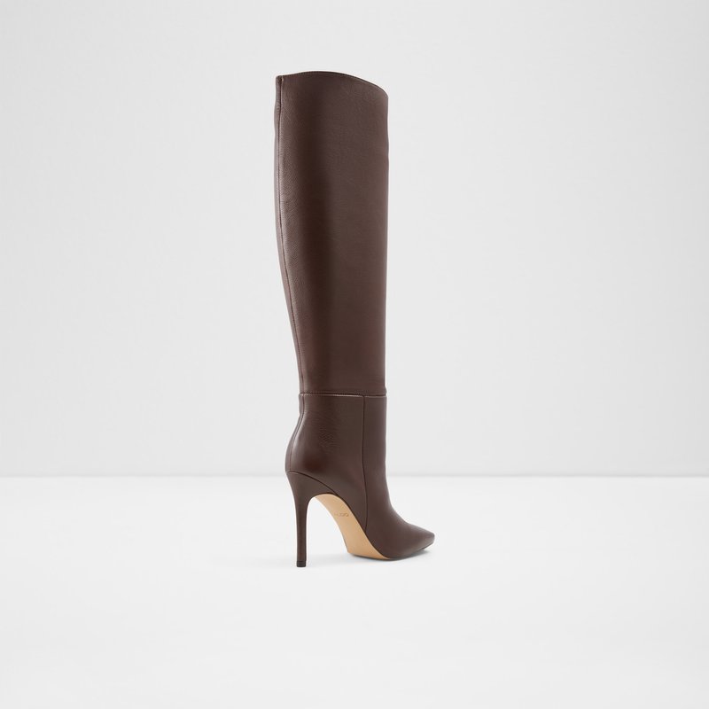 Knee High Boots Aldo Oluria Mujer Marrom | TRO210345