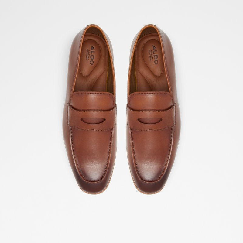 Loafers Aldo Byron Hombre Marrom | BIK062175