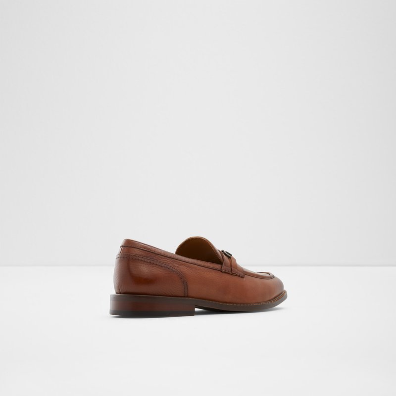 Loafers Aldo Schergerflex Hombre Marrom | EVN034958