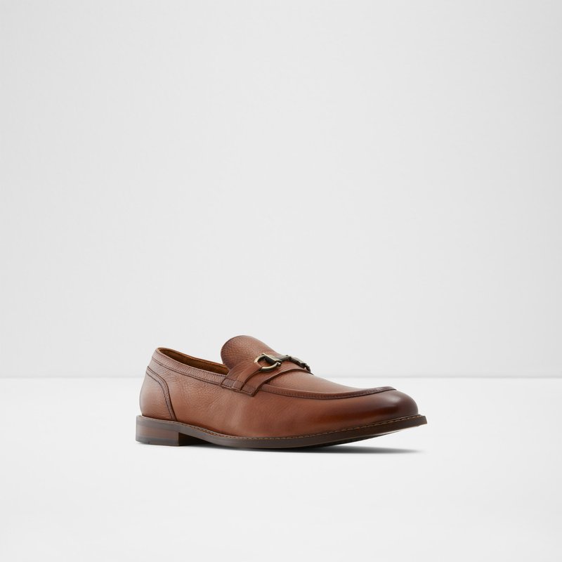 Loafers Aldo Schergerflex Hombre Marrom | EVN034958