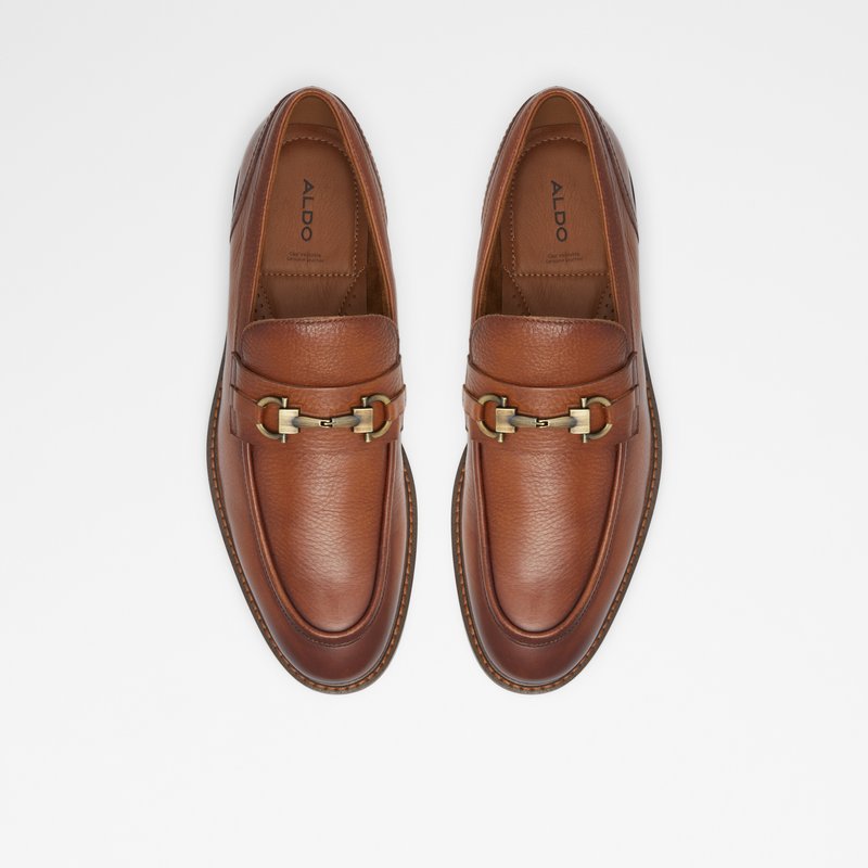 Loafers Aldo Schergerflex Hombre Marrom | EVN034958