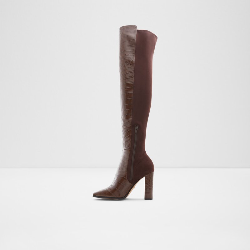 Over The Knee-Boots Aldo Choan Mujer Marrom | RMW257089