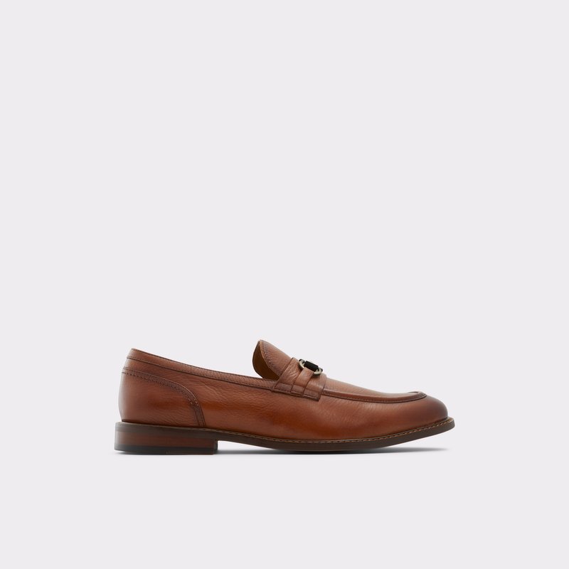 Loafers Aldo Schergerflex Hombre Marrom | EVN034958